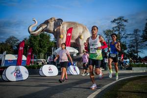 BIB: 
                            <button type="button" onclick="openModal(26541774)" class="btn btn-primary btn-sm float-right btn-popup" data-toggle="modal" data-target=".modal-high-quality">
                        <i class="fas fa-shopping-cart"></i> Add to Cart
                    </button>
                                            <button type="button" onclick="isThisMe(26541774, true)" class="btn btn-success btn-sm float-right btn-popup btn-isme hidden" data-toggle="tooltip" data-placement="bottom" title="นี่คือรูปของคุณใช่ไหม คลิกที่นี่เพื่อเอาเข้าอัลบั้ม">
                        <i class="fas fa-plus"></i> Add to album
                    </button>
                    <button type="button" onclick="isThisMe(26541774, false)" class="btn btn-warning btn-sm float-right btn-popup btn-isnotme hidden">
                        <i class="fas fa-ban"></i> Remove from album
                    </button>